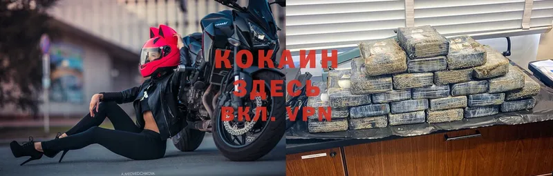 COCAIN Эквадор  маркетплейс наркотические препараты  Новомичуринск 