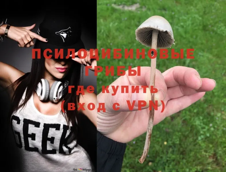 Псилоцибиновые грибы MAGIC MUSHROOMS Новомичуринск